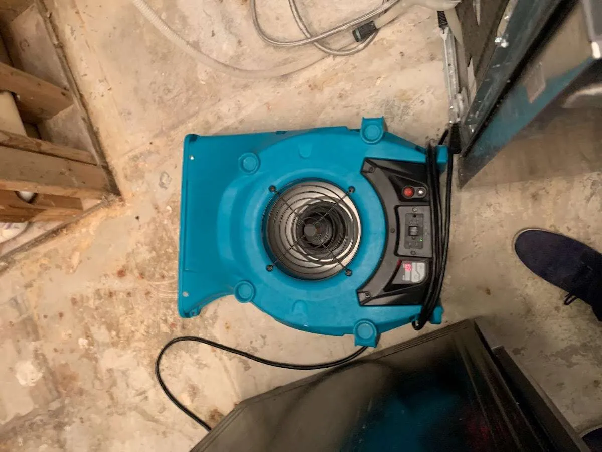 Air mover drying equipment for Mold Remediation & Removal in Island Lake